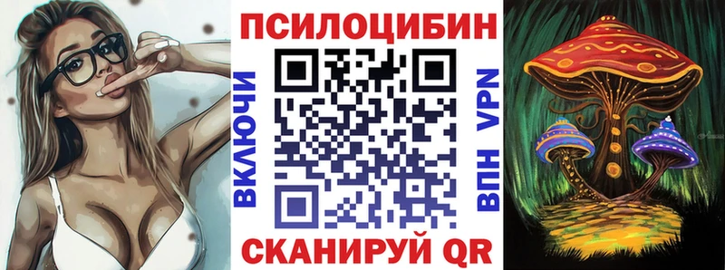 Купить  Урус-Мартан  Псилоцибиновые грибы Psilocybine cubensis 