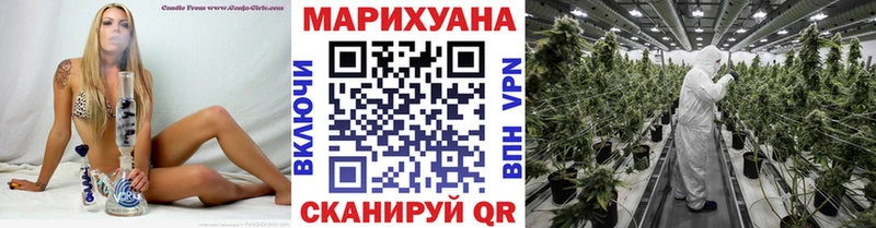 Конопля VHQ  Купить где  Урус-Мартан 